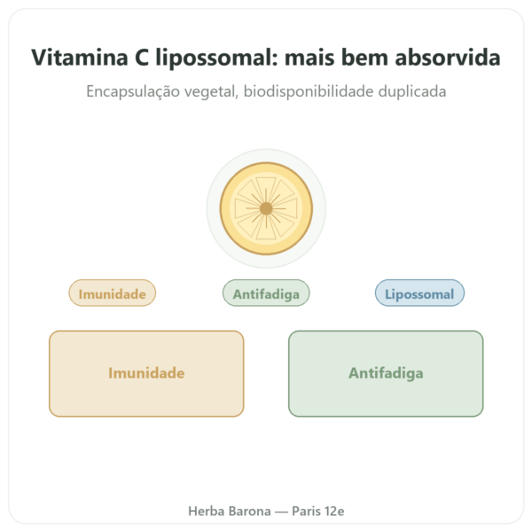 Vitamina C lipossomal – 60 cápsulas – Dynveo apresentação Paris Herba Barona