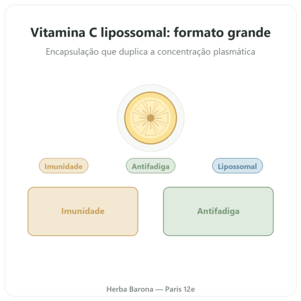 Vitamina C Lipossomal Dynveo 300 cápsulas apresentação Paris Herba Barona