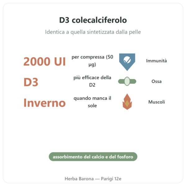 Vitamina D3 FORTE – 2000 UI – Dr. Jacob's benefici e dati chiave Paris Herba Barona