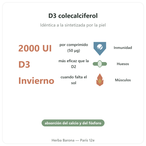 Vitamina D3 FORTE – 2000 UI – Dr. Jacob's beneficios y datos clave Paris Herba Barona