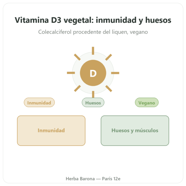 Vitamina D3 vegetal Dynveo 2000 UI – 60 cápsulas presentación Paris Herba Barona