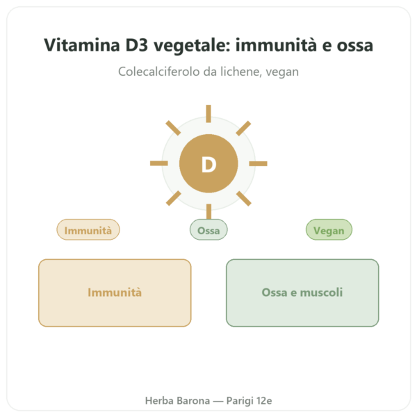 Vitamina D3 vegetale Dynveo 2000 UI – 60 capsule presentazione Paris Herba Barona