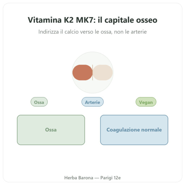 Vitamina K2 MK7 – 80µg – Dynveo – 60 capsule presentazione Paris Herba Barona