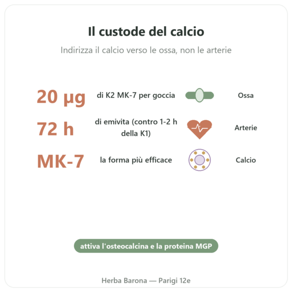 Vitamina K2 MK-7 Gocce – Dr Jacob's – 20 µg/goccia benefici e dati chiave Paris Herba Barona