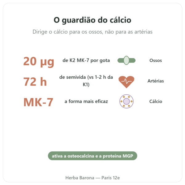 Vitamina K2 MK-7 Gotas – Dr Jacob's – 20 µg/gota benefícios e dados principais Paris Herba Barona