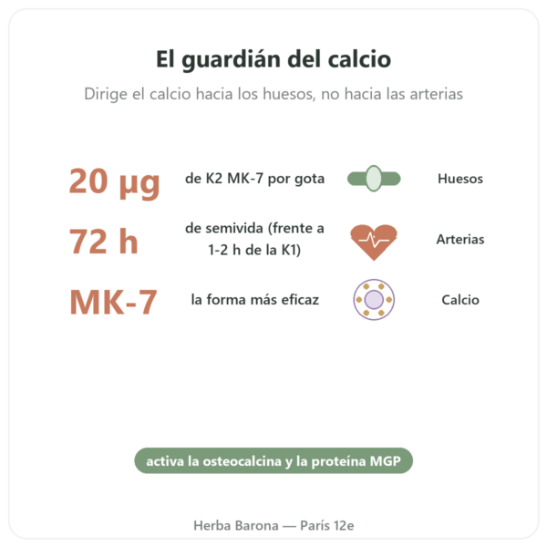 Vitamina K2 MK-7 en Gotas – Dr Jacob's – 20 µg/gota beneficios y datos clave Paris Herba Barona