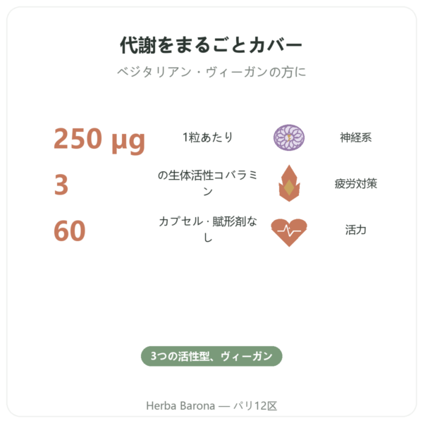 Dynveo ビタミンB12 60カプセル 250µg 活性型3種 benefits and key facts Paris Herba Barona