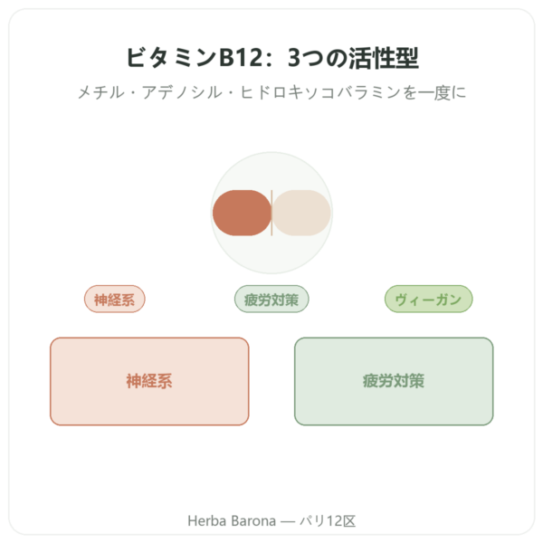 Dynveo ビタミンB12 60カプセル 250µg 活性型3種 presentation Paris Herba Barona