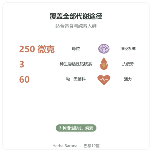 Dynveo 维生素 B12 60 粒胶囊 250ug 三种活性形式 功效与数据 Paris Herba Barona