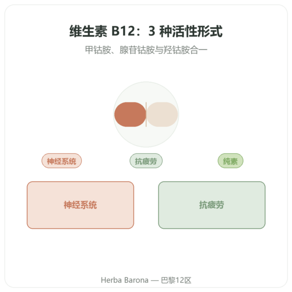 Dynveo 维生素 B12 60 粒胶囊 250ug 三种活性形式 产品展示 Paris Herba Barona