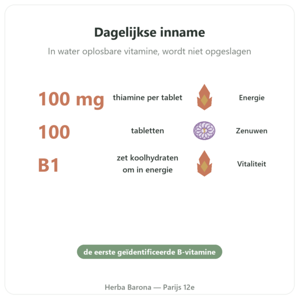 Vitamine B1 Thiamine – Now Foods – 100mg – 100 Tabletten voordelen en kerngegevens Paris Herba Barona