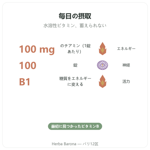 ビタミンB-1 チアミン – Now Foods – 100mg – 100粒 benefits and key facts Paris Herba Barona