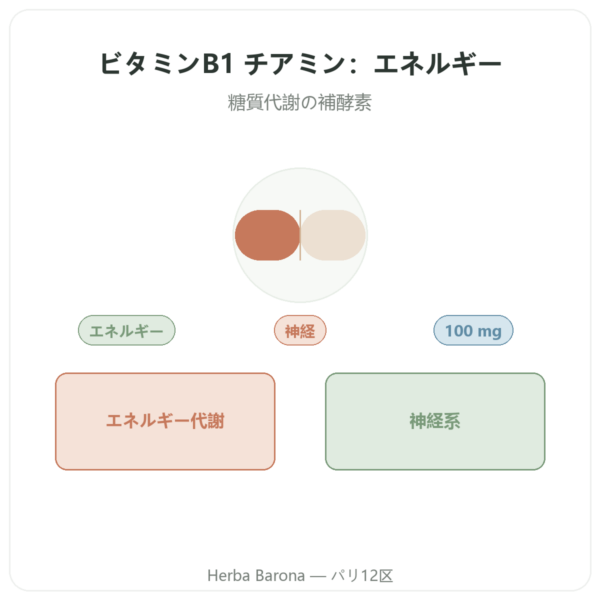 ビタミンB-1 チアミン – Now Foods – 100mg – 100粒 presentation Paris Herba Barona