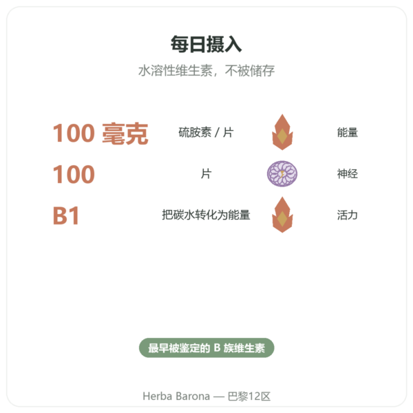 维生素B-1 硫胺素 – Now Foods – 100mg – 100片 功效与数据 Paris Herba Barona