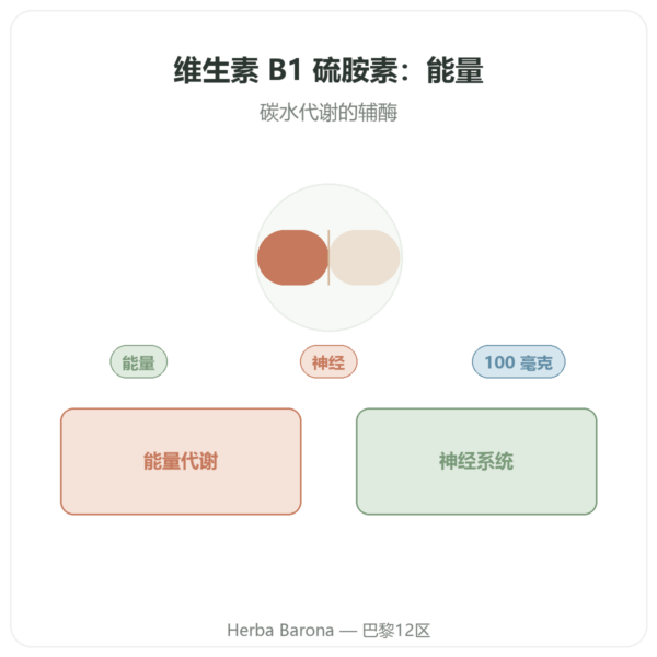 维生素B-1 硫胺素 – Now Foods – 100mg – 100片 产品展示 Paris Herba Barona