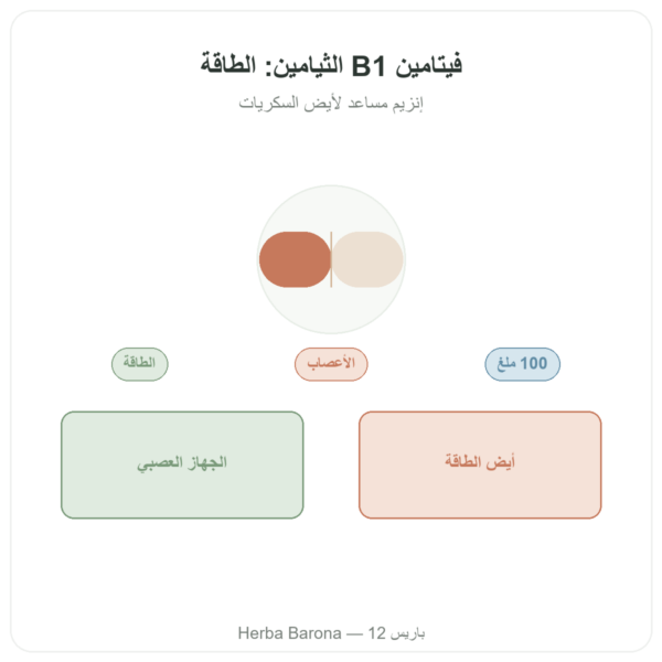 فيتامين B-1 ثيامين – Now Foods – 100 ملغ – 100 قرص عرض المنتج Paris Herba Barona