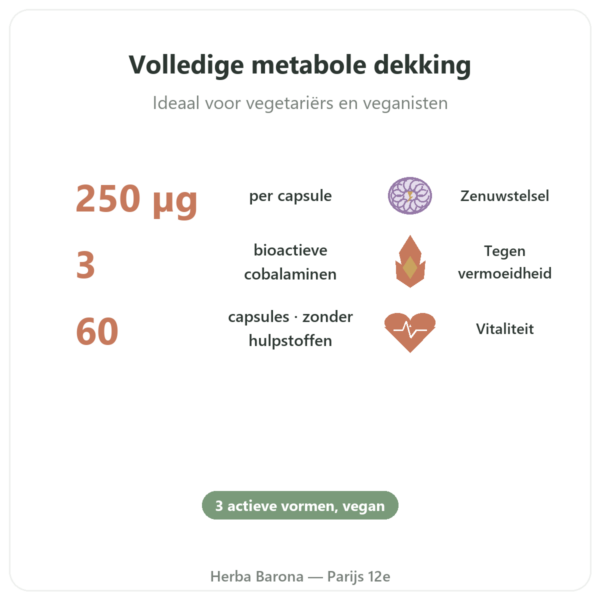 Vitamine B12 Dynveo Drie Actieve Vormen voordelen en kerngegevens Paris Herba Barona