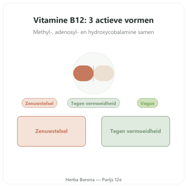 Vitamine B12 Dynveo Drie Actieve Vormen presentatie Paris Herba Barona