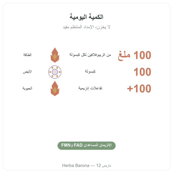 فيتامين B2 ريبوفلافين – Now Foods – 100 مغ 100 كبسولة الفوائد والمعطيات الرئيسية Paris Herba Barona