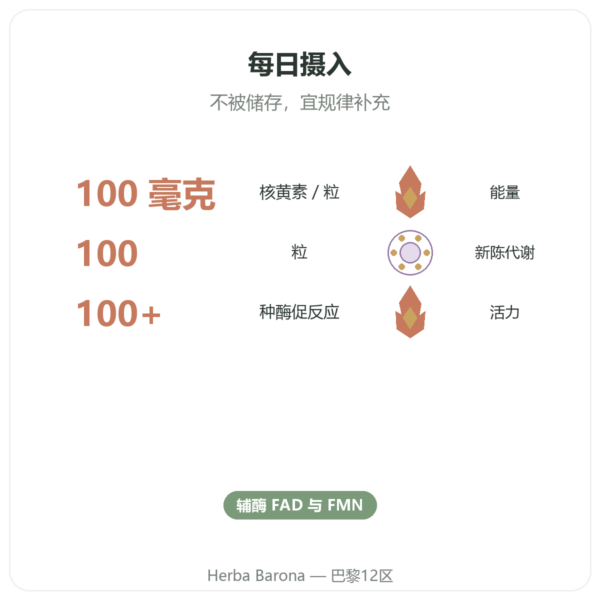 维生素B2 核黄素 Now Foods 100mg 100粒胶囊 功效与数据 Paris Herba Barona