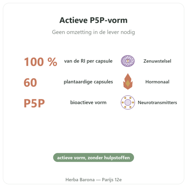 Vitamine B6 P5P – Pyridoxal 5-fosfaat – 60 capsules – Dynveo voordelen en kerngegevens Paris Herba Barona