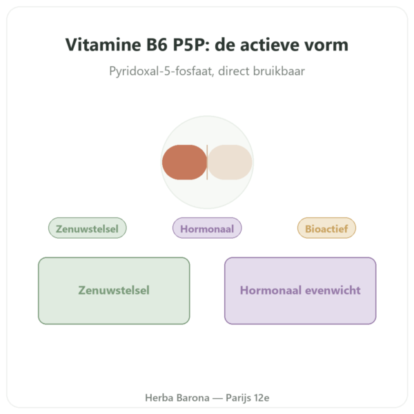 Vitamine B6 P5P – Pyridoxal 5-fosfaat – 60 capsules – Dynveo presentatie Paris Herba Barona
