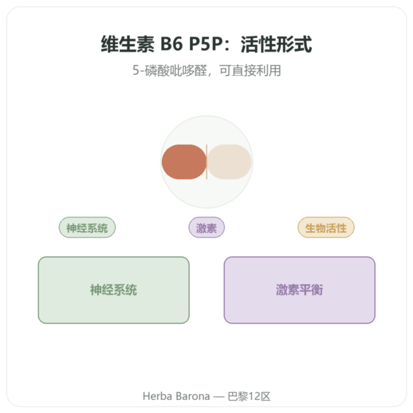 维生素 B6 – 5-磷酸吡哆醛(P5P)-Dynveo- 60 粒胶囊 产品展示 Paris Herba Barona