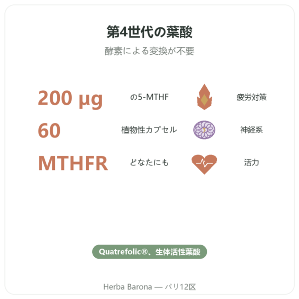 Dynveo ビタミンB9 Quatrefolic 200µg 60カプセル benefits and key facts Paris Herba Barona