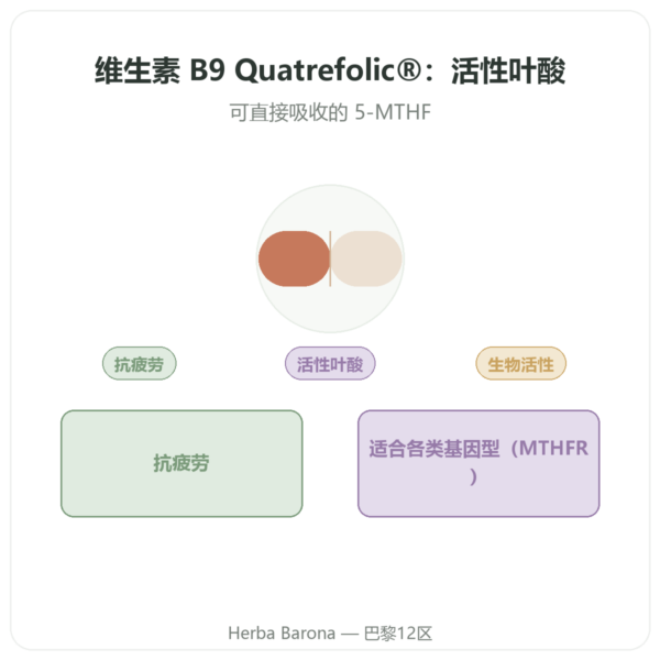 Dynveo 维生素 B9 Quatrefolic 200 ug 60 粒胶囊 产品展示 Paris Herba Barona
