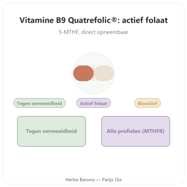 Vitamine B9 Quatrefolic Dynveo 200 µg presentatie Paris Herba Barona