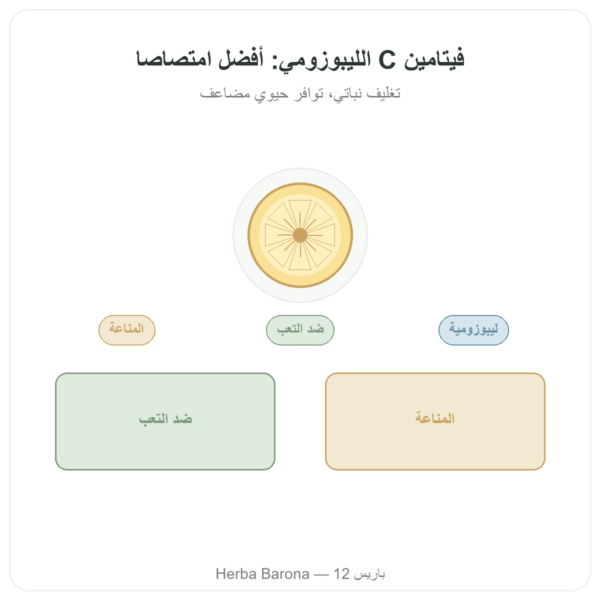 فيتامين C ليبوسومي – 60 كبسولة – Dynveo عرض المنتج Paris Herba Barona