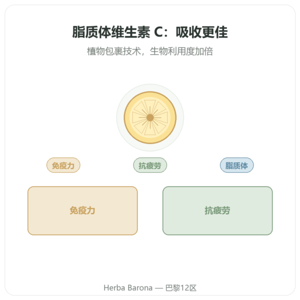脂质体维生素 C – 60 粒胶囊 – Dynveo 产品展示 Paris Herba Barona