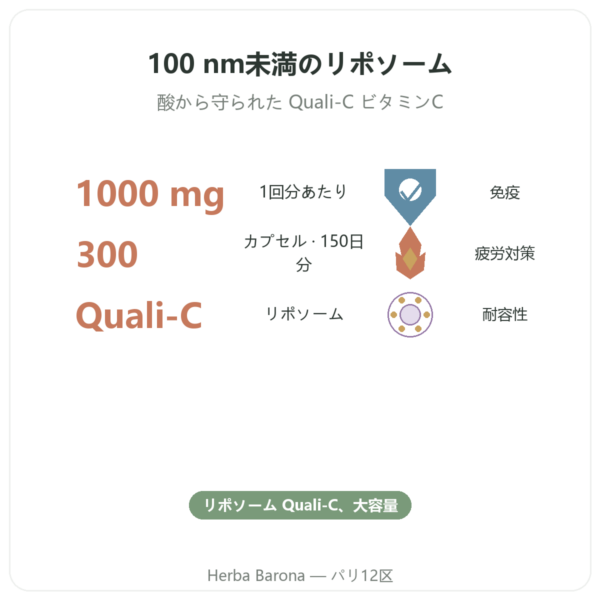 リポソーマル ビタミンC Dynveo 300カプセル benefits and key facts Paris Herba Barona