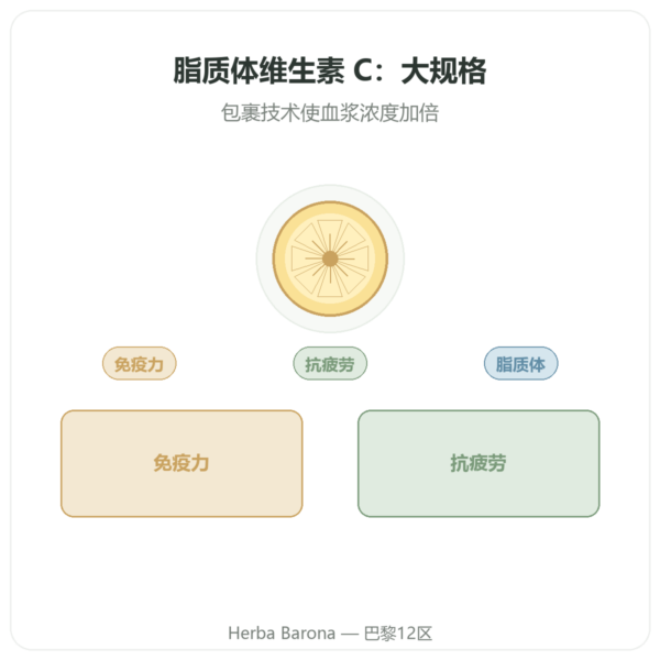 脂质体维生素 C Dynveo 300 粒胶囊 产品展示 Paris Herba Barona