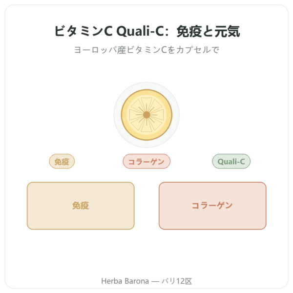 ビタミンC Quali®-C - Dynveo – 500mg – 60カプセル presentation Paris Herba Barona