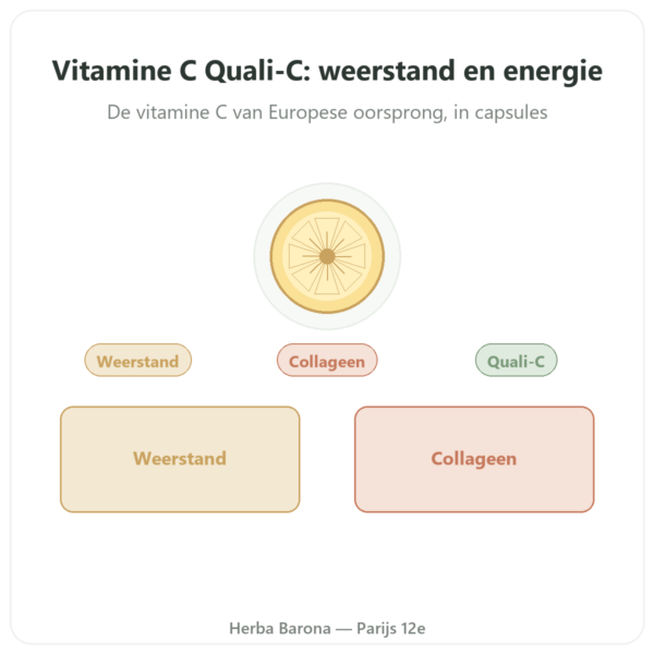 Vitamine C Quali-C 500mg Dynveo 60 capsules presentatie Paris Herba Barona