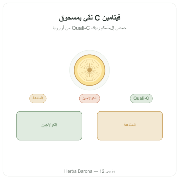 فيتامين C النقي Quali®-C مسحوق 100 غ – Dynveo عرض المنتج Paris Herba Barona