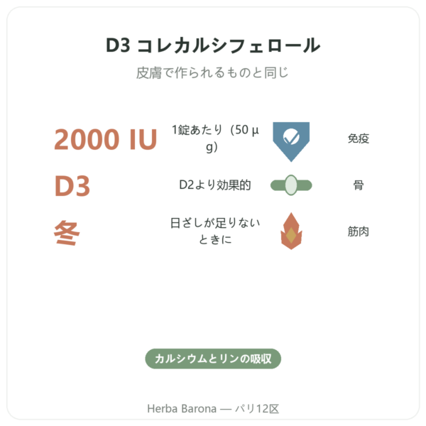 ビタミンD3 FORTE – 2000 U.I. – Dr. Jacob’s benefits and key facts Paris Herba Barona