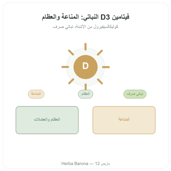 فيتامين D3 نباتي Dynveo 2000 وحدة دولية 60 كبسولة عرض المنتج Paris Herba Barona