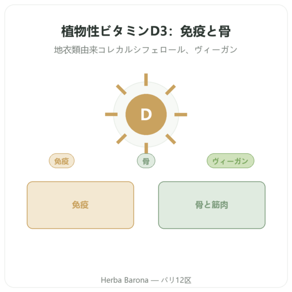 植物性ビタミンD3 Dynveo 2000 UI 60カプセル presentation Paris Herba Barona