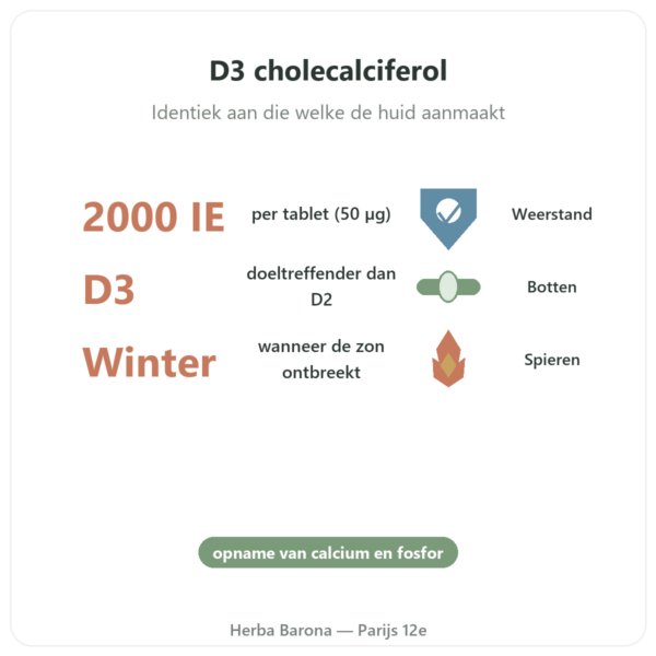 Vitamine D3 FORTE – 2000 I.E. – Dr. Jacob's voordelen en kerngegevens Paris Herba Barona