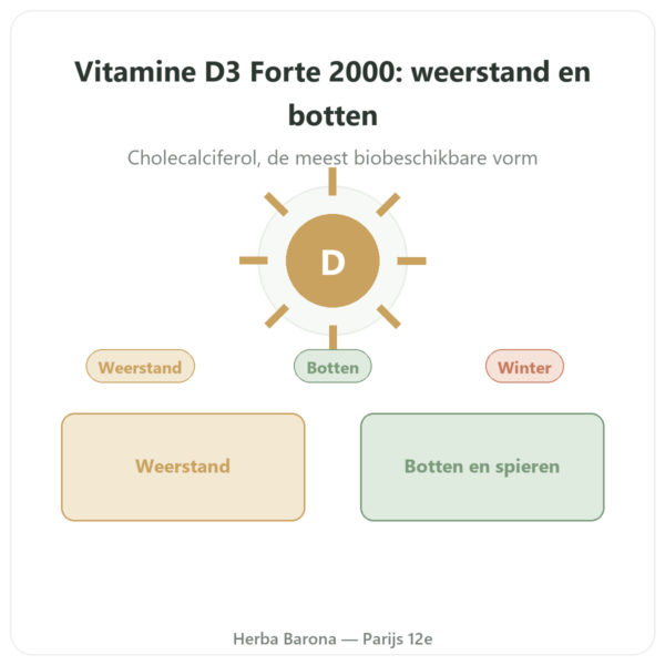 Vitamine D3 FORTE – 2000 I.E. – Dr. Jacob's presentatie Paris Herba Barona