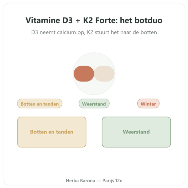 Vitamine D3 K2 FORTE – 2000 IE – DR. JACOB'S presentatie Paris Herba Barona