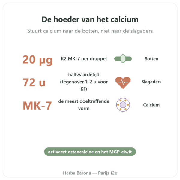 Vitamine K2 MK-7 Druppels – Dr Jacob's – 20 µg/druppel voordelen en kerngegevens Paris Herba Barona
