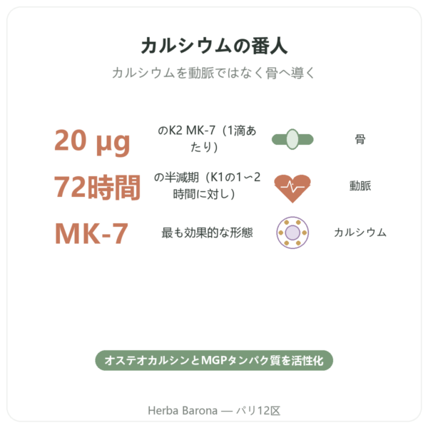 ビタミンK2 MK-7 ドロップ – Dr Jacob's – 20 µg/滴 benefits and key facts Paris Herba Barona