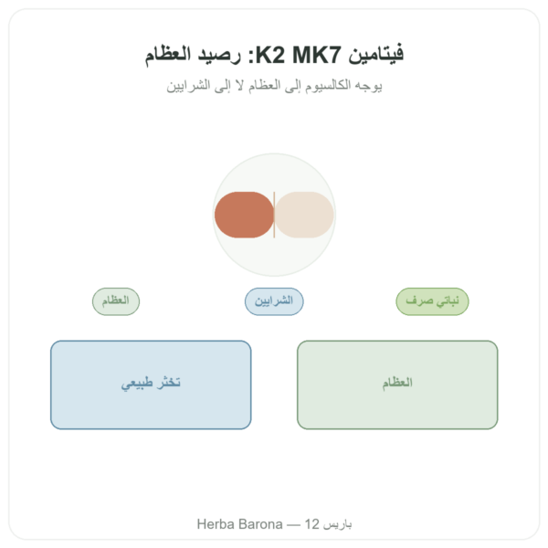 فيتامين K2 MK7 – 80 ميكروغرام – Dynveo – 60 كبسولة عرض المنتج Paris Herba Barona