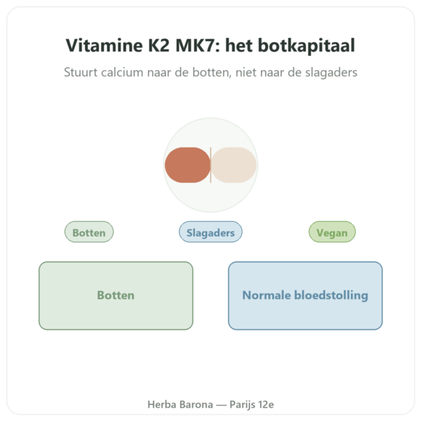Vitamine K2 MK7 Dynveo 80 µg 60 capsules presentatie Paris Herba Barona