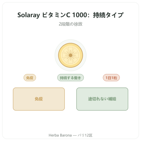 ビタミンC 1000mg Solaray 持続放出 – 100錠 presentation Paris Herba Barona