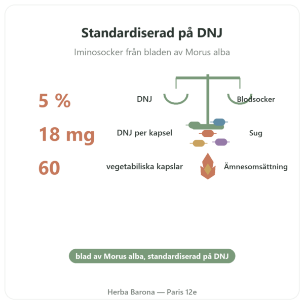 Vitt Mullbär – standardiserat till 5% DNJ – 60 kapslar – DYNVEO fördelar och nyckelfakta Paris Herba Barona