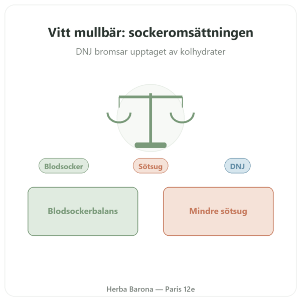 Vitt Mullbär – standardiserat till 5% DNJ – 60 kapslar – DYNVEO presentation Paris Herba Barona
